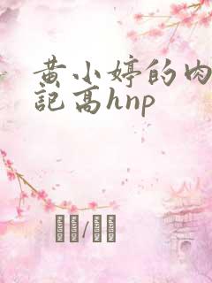 黄小婷的肉欲日记高hnp