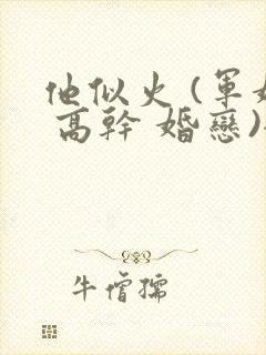 他似火 (军婚 高干 婚恋)全文在线阅读