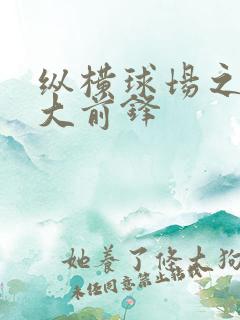 纵横球场之暴力大前锋