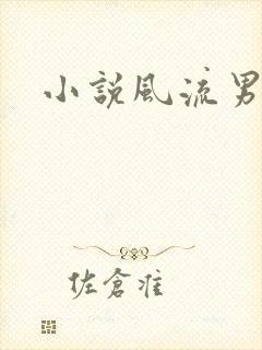 小说风流男护理