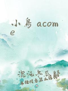 小鸟 acome