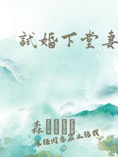 试婚下堂妻