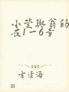 小莹与翁的销魂夜1一6章