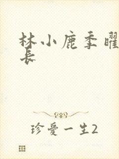 林小鹿季曜珉机长