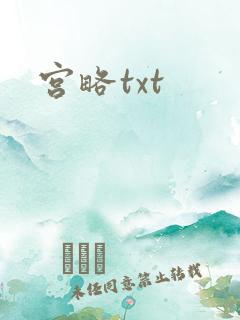宫略txt