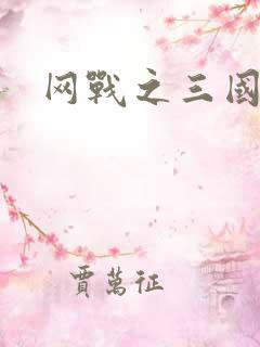 网战之三国霸业