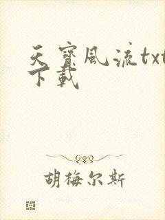 天宝风流txt下载