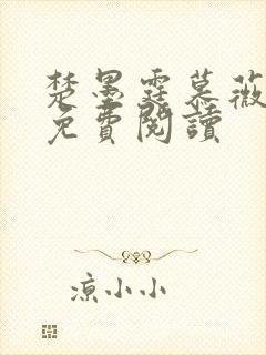 楚墨霆慕薇小说免费阅读