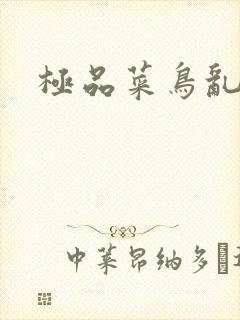 极品菜鸟乱江湖