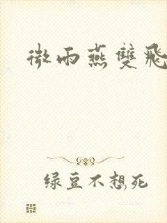 微雨燕双飞小说