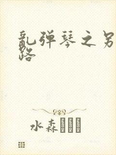 乱弹琴之另一条路