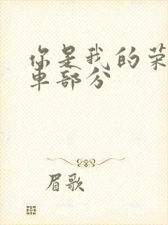 你是我的荣耀开车部分