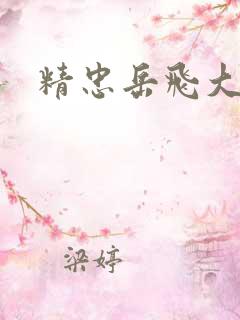 精忠岳飞大结局