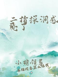 二指探洞感觉要飞了