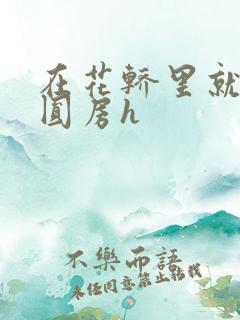 在花轿里就开始圆房h