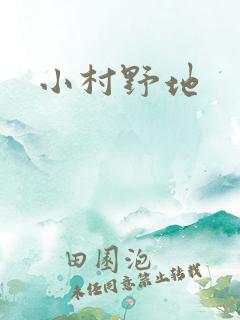小村野地