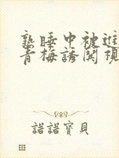 熟睡中被进了H青梅诱哄视频