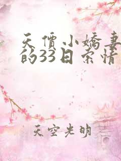 天价小娇妻总裁的33日索情