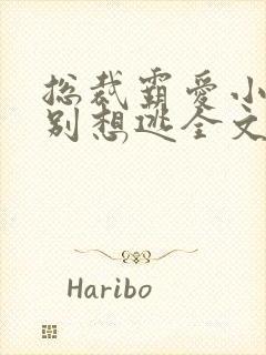 总裁霸爱小娇妻别想逃全文阅读免费