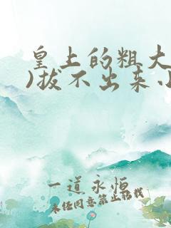 皇上的粗大(h)拔不出来小说