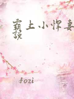霸上小悍妻 小说
