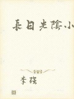 长日光阴小说