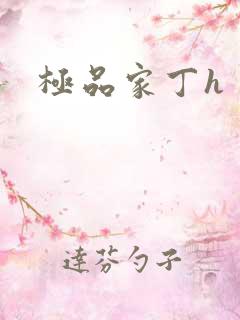 极品家丁h