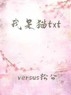 我是猫txt