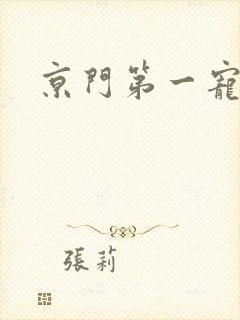 京门第一宠