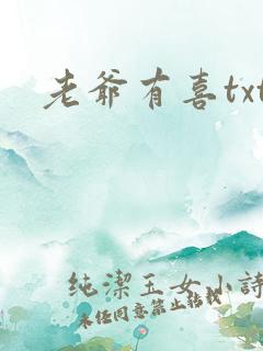 老爷有喜txt