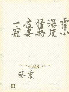 一夜情深霍先生宠妻无度小说免费阅读