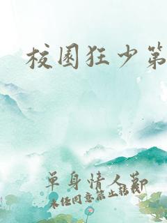 校园狂少第二部