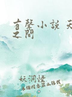 有声小说 天地之间