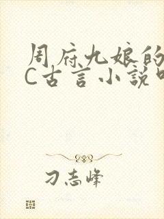 周府九娘的NPC古言小说叫什么