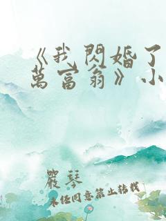 《我闪婚了个亿万富翁》小说