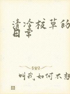 清冷校草的抹布日常