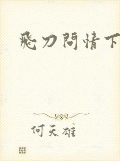 飞刀问情下载