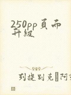 250pp页面升级