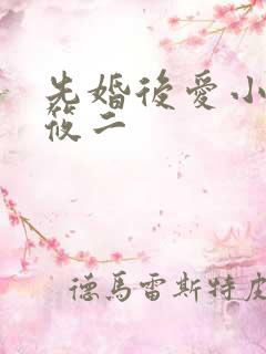 先婚后爱小说梦筱二
