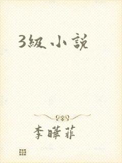 3级小说