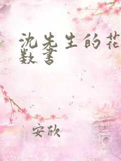 沈先生的花式调数书