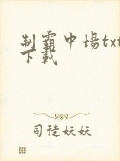 制霸中场txt下载