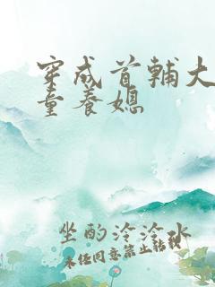 穿成首辅大人的童养媳