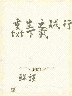 重生之贼行天下txt下载