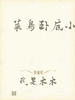 菜鸟卧底小正太