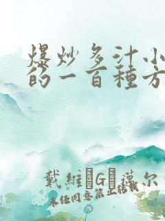 爆炒多汁小美人的一百种方法