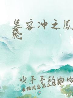 慕容冲之凤凰于飞