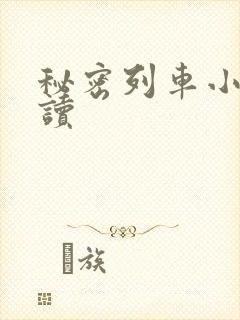 秘密列车小说阅读