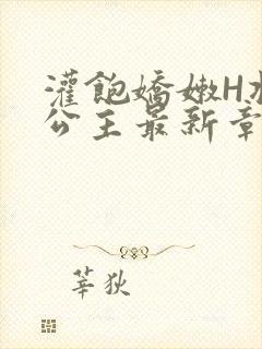 灌饱娇嫩H将军公主最新章节