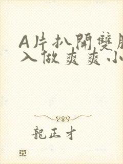 A片扒开双腿进入做爽爽小说